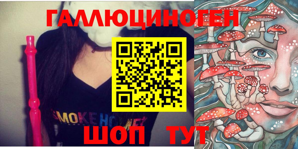 купить наркотик  Вход с VPN  Луга  Галлюциногенные грибы Psilocybe 