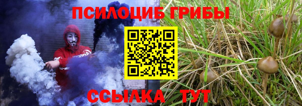 Галлюциногенные грибы MAGIC MUSHROOMS Луга