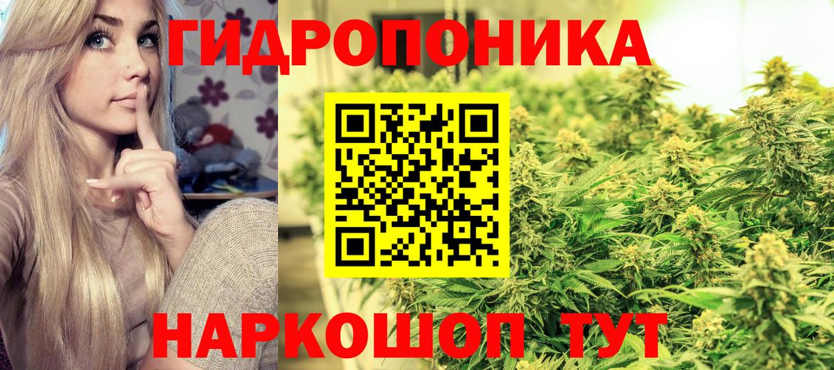 Конопля план Луга